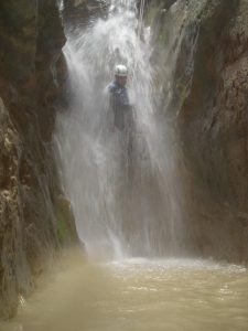 DSC07594.jpg